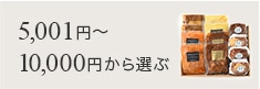 5,001円 ～ 10,000円