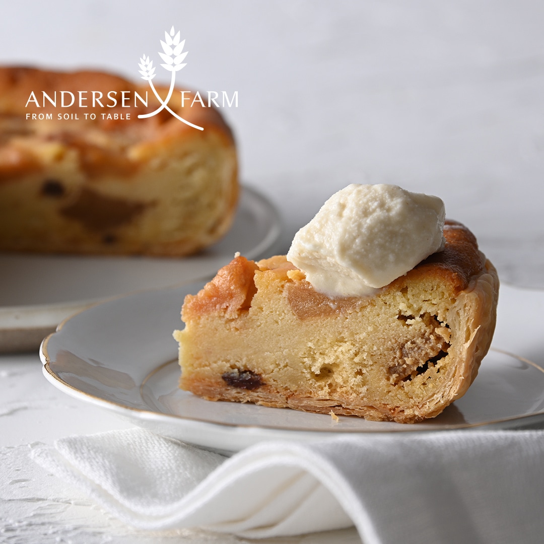 デニッシュアップルケーキ&芸北りんごのミルクジェラート *