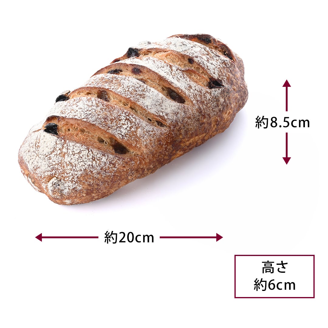 【お届けは7/12~】サンマスカットレーズン(1個) *