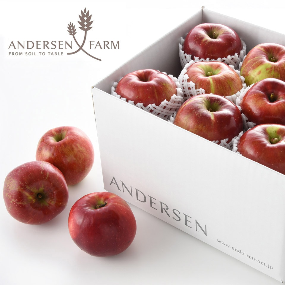 【ご好評につき完売しました／直送・送料込】アンデルセンファーム林檎 紅玉１６個入 *
