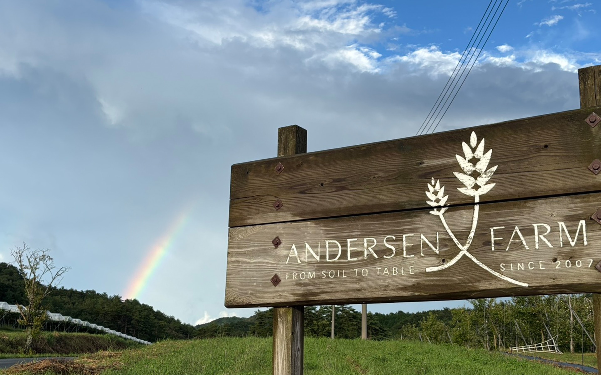 収穫期真っ盛りの芸北から、ぶどうとりんごの便り