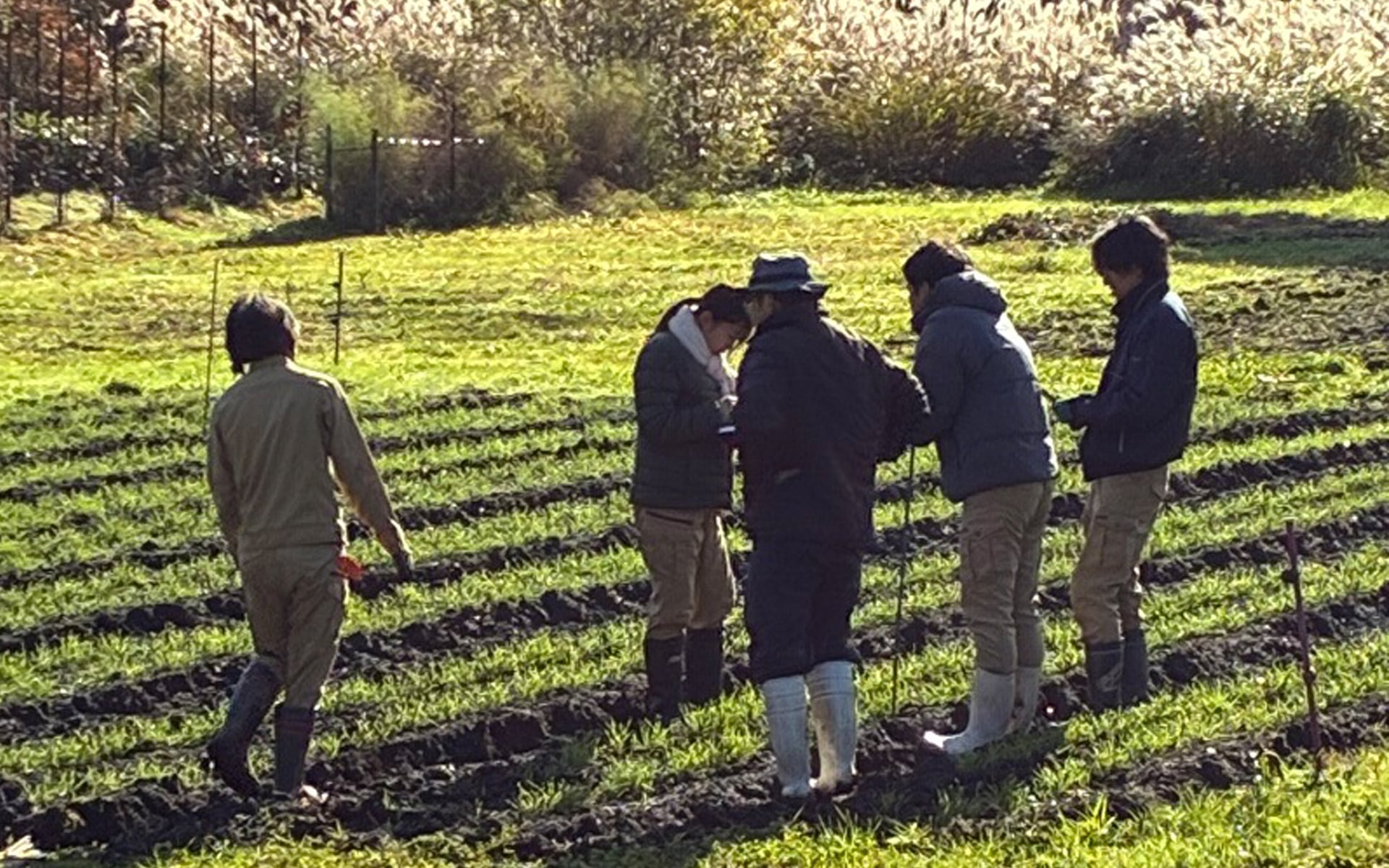 芸北100年農場の冬支度と研修生の成長