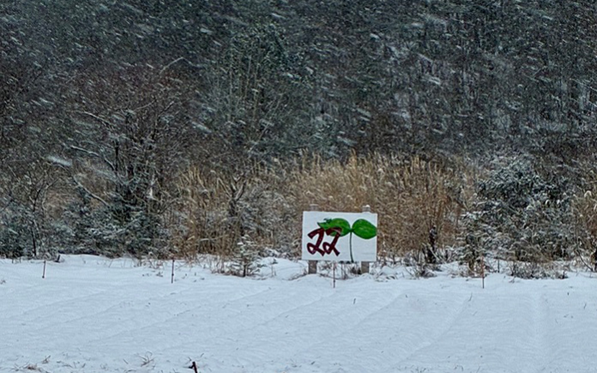 芸北の冬と店舗研修