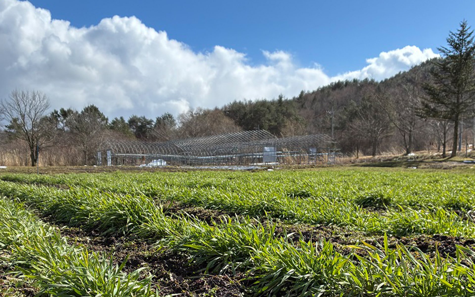 春を迎えた農場