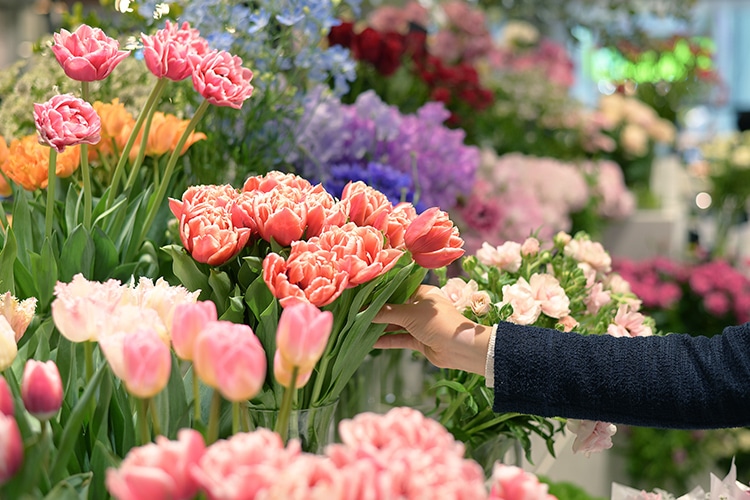 フラワーショップの花々