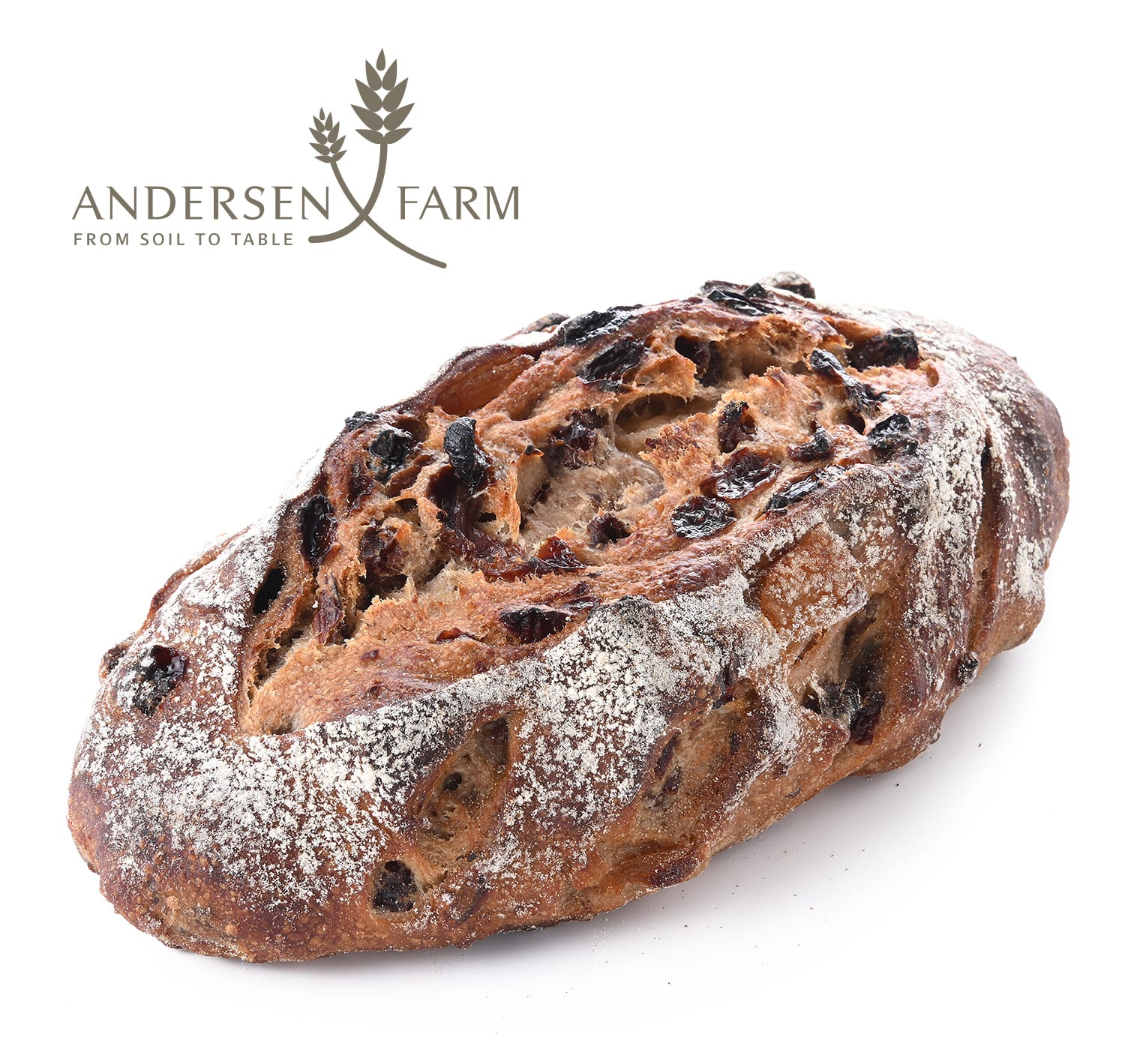 グラニースミス×志プレッド