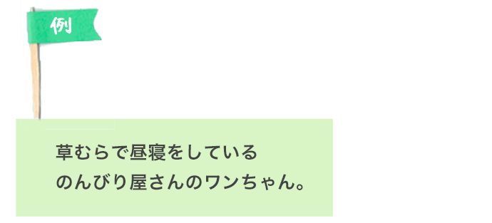 草むらで昼寝をしているのんびり屋さんのワンちゃん。