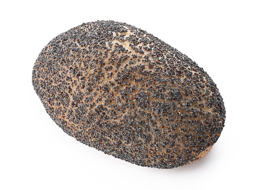 サワードゥボーラ